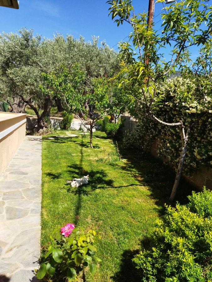 View House Villa Agria Exterior foto